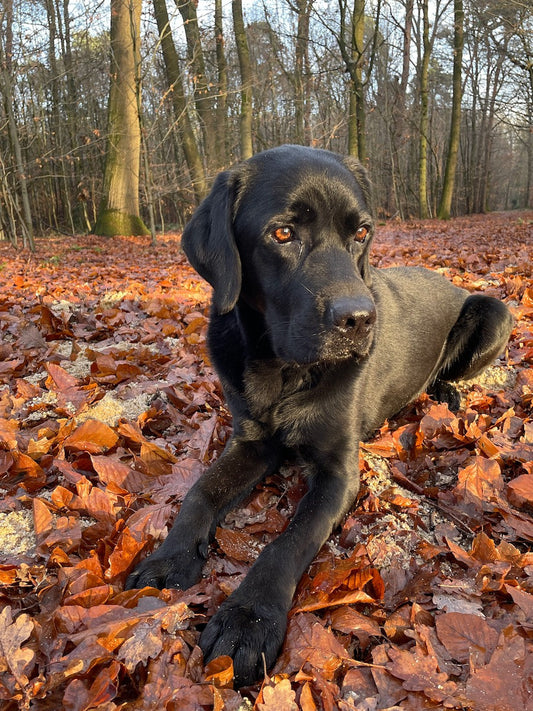 Warum draußen (und unterwegs) selten alles nach Plan läuft