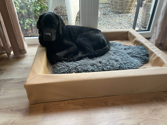 Was im Alltag mit Hund wirklich zählt – und was einfach nur im Weg ist