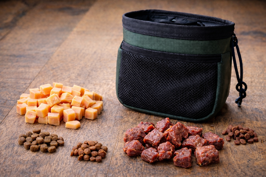 Verschiedene Leckerli im Hundetraining – Fleischstücke, Käsewürfel und Trainingssnacks neben einem Leckerlibeutel